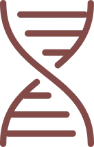 Genetics & Doshas - A Guide to The Doshas - Dosha Quiz - Find Balance & Learn​ Your Ayurveda Body Type​ - The Holistic Highway